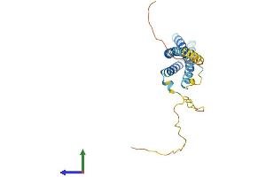 AlphaFold protein structure predicition of Human Recombinant CMTM4 Protein, UniprotID Q8IZR5