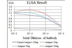 Image no. 5 for anti-rho GDP Dissociation Inhibitor (GDI) alpha (ARHGDIA) antibody (ABIN1500701) (ARHGDIA antibody)