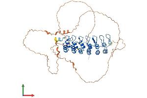 AlphaFold protein structure predicition of Human Recombinant NFKBIE Protein, UniprotID O00221