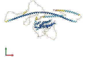 AlphaFold protein structure predicition of Mouse Recombinant Kazn Protein, UniprotID Q69ZS8