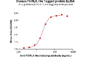 ELISA plate pre-coated by 2 μg/mL (100 μL/well) Human F Protein, His Tag (ABIN7092781, ABIN7272386 and ABIN7272387) can bind Anti-F Neutralizing antibody ABIN7477992 and ABIN7490924 in a linear range of 0.