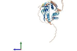 Protein Structure (PS) image for Zinc Finger Protein 100 (ZNF100) (AA 1-542) protein (His tag) (ABIN7545301)