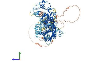 AlphaFold protein structure predicition of Mouse Recombinant Dgkb Protein, UniprotID Q6NS52 (DGKB Protein (AA 1-802) (His tag))