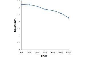 Antigen: 0. (Luciferase antibody)