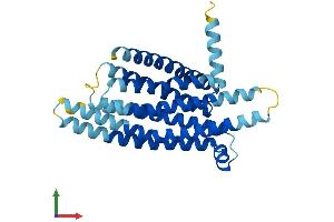 AlphaFold protein structure predicition of Mouse Recombinant Tas2r13 Protein, UniprotID Q7M720 (TAS2R13 Protein (AA 1-305) (His tag))