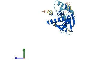 AlphaFold protein structure predicition of Human Recombinant ATG10 Protein, UniprotID Q9H0Y0 (ATG10 Protein (AA 1-220) (His tag))