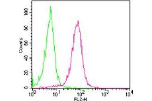 Image no. 1 for anti-Tumor Necrosis Factor Receptor Superfamily, Member 11a, NFKB Activator (TNFRSF11A) (AA 326-616) antibody (PE) (ABIN959946) (TNFRSF11A antibody  (AA 326-616) (PE))