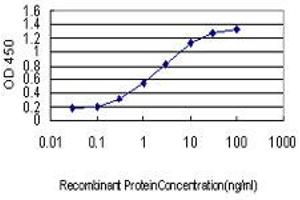 Detection limit for recombinant GST tagged PAFAH1B1 is approximately 0. (PAFAH1B1 antibody  (AA 1-110))