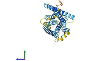 AlphaFold protein structure predicition of Human Recombinant VN1R3 Protein, UniprotID Q9BXE9 (Vomeronasal 1 Receptor 3 (VMN1R3) (AA 1-311) protein (His tag))