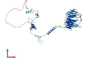 AlphaFold protein structure predicition of Human Recombinant CDC40 Protein, UniprotID O60508