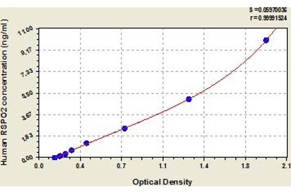 RSPO2 ELISA Kit