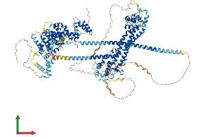 AlphaFold protein structure predicition of Mouse Recombinant Daam2 Protein, UniprotID Q80U19 (DAAM2 Protein (AA 1-1115) (His tag))