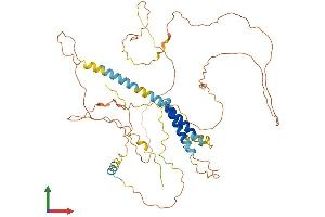 Protein Structure (PS) image for Transmembrane Protein 200A (TMEM200A) (AA 1-491) protein (His tag) (ABIN7544099)