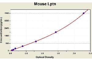 Diagramm of the ELISA kit to detect Mouse Lptnwith the optical density on the x-axis and the concentration on the y-axis.