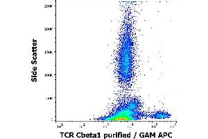Flow cytometry surface staining pattern of human peripheral whole blood stained using anti-human TCR Cbeta1 (JOVI. (TCR, Cbeta1 antibody)