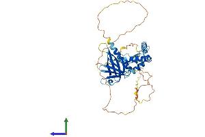Protein Structure (PS) image for Sprouty-Related, EVH1 Domain Containing 2 (SPRED2) (AA 1-410) protein (His tag) (ABIN7560258)
