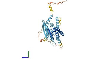 Protein Structure (PS) image for Septin 5 (SEPT5) (AA 1-369) protein (His tag) (ABIN7556441)