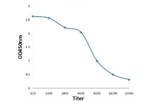 Antigen: 0. (TRAK1 antibody  (AA 171-270))