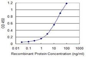 Detection limit for recombinant GST tagged NOTCH1 is 0. (Notch1 antibody  (AA 23-132))