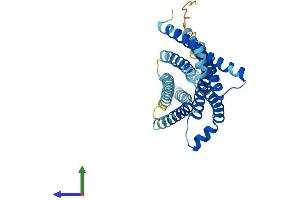 Protein Structure (PS) image for Taste Receptor, Type 2, Member 3 (TAS2R3) (AA 1-316) protein (His tag) (ABIN7558263)