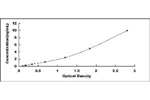 Typical standard curve (Reelin ELISA Kit)