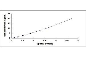 Typical standard curve (S100A7A ELISA Kit)