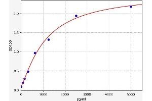 Typical standard curve (alpha Actinin 4 ELISA Kit)