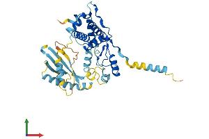 AlphaFold protein structure predicition of Mouse Recombinant Oas1b Protein, UniprotID Q60856 (OAS1B Protein (AA 1-376) (His tag))