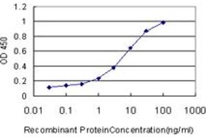Detection limit for recombinant GST tagged FABP1 is approximately 0. (FABP1 antibody  (AA 1-127))