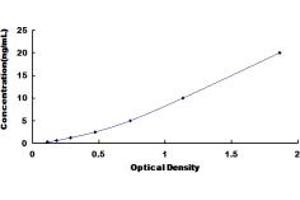 Typical standard curve (REPIN1 ELISA Kit)