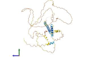 Protein Structure (PS) image for Transmembrane Protein 200A (TMEM200A) (AA 1-491) protein (His tag) (ABIN7559191)