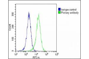 Overlay histogram showing Hela cells stained with (ABIN1538640 and ABIN2849307)(green line). (LZIC antibody  (AA 81-109))