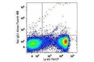 Flow Cytometry (FACS) image for Rat anti-Mouse IgE antibody (Alexa Fluor 488) (ABIN2667216) (Rat anti-Mouse IgE Antibody (Alexa Fluor 488))