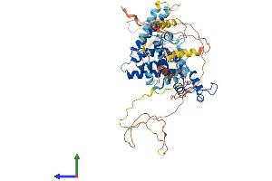 Protein Structure (PS) image for Nuclear Receptor Subfamily 2, Group C, Member 2 (NR2C2) (AA 1-596) protein (His tag) (ABIN7554749)