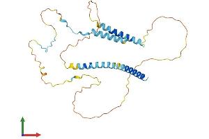 AlphaFold protein structure predicition of Mouse Recombinant Mff Protein, UniprotID Q6PCP5
