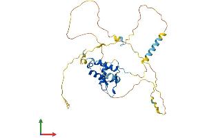 AlphaFold protein structure predicition of Mouse Recombinant Foxb1 Protein, UniprotID Q64732 (FOXB1 Protein (AA 1-325) (His tag))