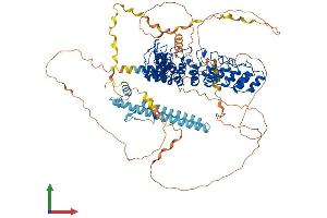 AlphaFold protein structure predicition of Mouse Recombinant Espn Protein, UniprotID Q9ET47 (Espin Protein (ESPN) (AA 1-871) (His tag))