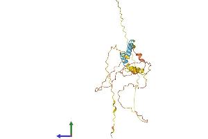AlphaFold protein structure predicition of Human Recombinant C12orf71 Protein, UniprotID A8MTZ7 (C12ORF71 Protein (AA 1-269) (His tag))