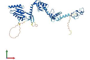 AlphaFold protein structure predicition of Mouse Recombinant Rnf14 Protein, UniprotID Q9JI90 (RNF14 Protein (AA 1-485) (His tag))