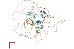 Zinc Finger E-Box Binding Homeobox 1 (ZEB1) (AA 1-1124) protein (His tag)