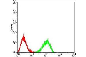 Flow cytometric analysis of HL-60 cells using LRP12 mouse mAb (green) and negative control (red). (LRP12 antibody  (AA 355-492))