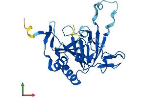 AlphaFold protein structure predicition of Mouse Recombinant Alkbh6 Protein, UniprotID Q8K2U2