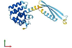 Protein Structure (PS) image for COMM Domain Containing 7 (COMMD7) (AA 1-200) protein (His tag) (ABIN7546680)