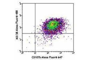 Flow Cytometry (FACS) image for anti-Galectin 3 (LGALS3) antibody (Alexa Fluor 488) (ABIN2657562)