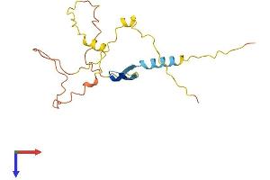 Chromosome 1 Open Reading Frame 105 (C1ORF105) (AA 1-183) protein (His tag)