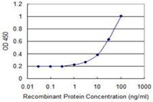 Detection limit for recombinant GST tagged RPL10L is 0. (RPL10L antibody  (AA 115-214))