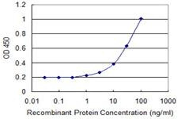 RPL10L antibody  (AA 115-214)