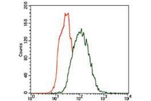 Flow cytometric analysis of Hela cells using CK5 mouse mAb (green) and negative control (red). (Cytokeratin 5 antibody  (AA 316-590))
