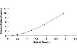 NDN ELISA Kit