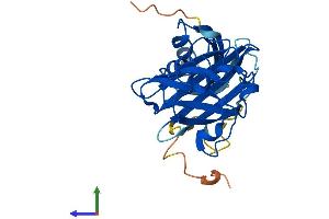 AlphaFold protein structure predicition of Mouse Recombinant Ccs Protein, UniprotID Q9WU84